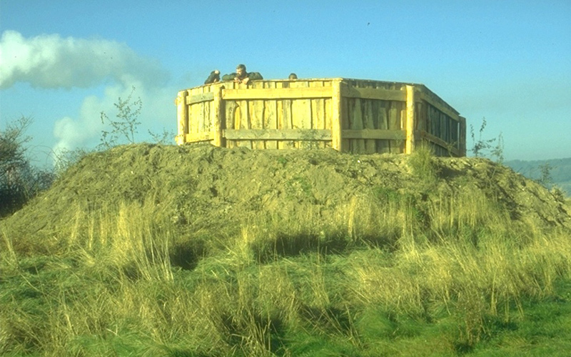 Naturschutzgebiet Reesholm, 1996