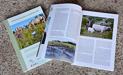 Abbildung des Buches "Naturnahe Beweidung und NATURA 2000"